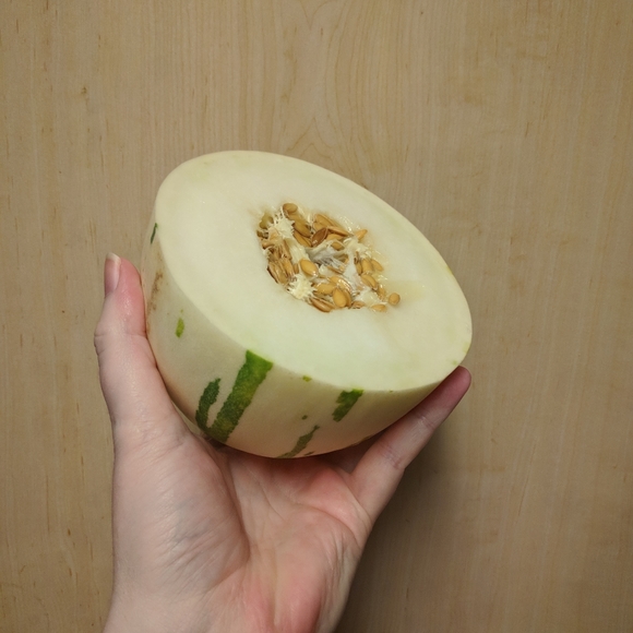 Homegrown Other Gaya Melon Seeds Poshmark